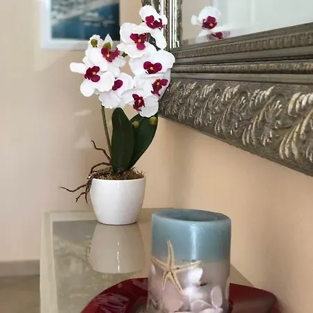 Royal هيماري