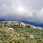 Royal فندق هيماري